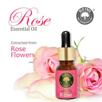 https://cdn.shopify.com/s/files/1/1857/6931/products/XAq9ocXn0n.jpg?v=1682760856