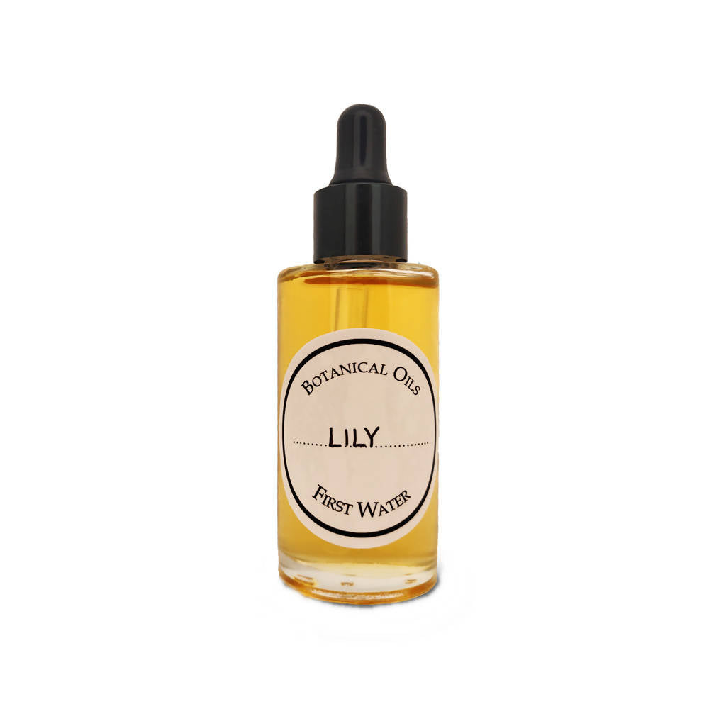 https://cdn.shopify.com/s/files/1/1857/6931/products/XD1KfcuMJZ.jpg?v=1759273603
