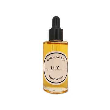 https://cdn.shopify.com/s/files/1/1857/6931/products/XD1KfcuMJZ.jpg?v=1759273603