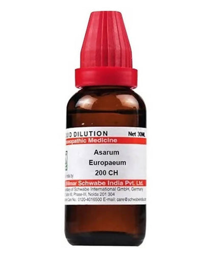 https://cdn.shopify.com/s/files/1/1857/6931/products/XDzZiPm2Qd.jpg?v=1640930161