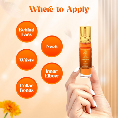 https://cdn.shopify.com/s/files/1/1857/6931/files/XFQrjMZsVG.png?v=1782901954
