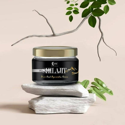 https://cdn.shopify.com/s/files/1/1857/6931/products/XHWkOYpBnI.jpg?v=1694411905