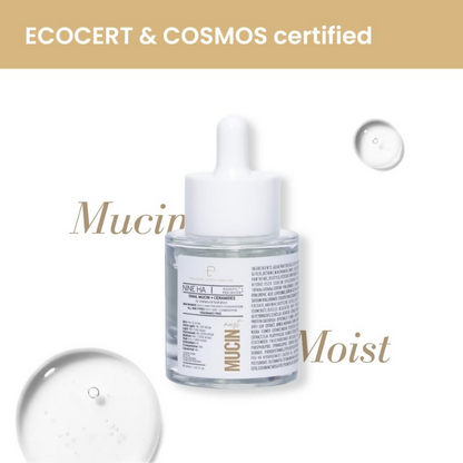 https://cdn.shopify.com/s/files/1/1857/6931/files/XLEUMPQGC1.png?v=1725620560