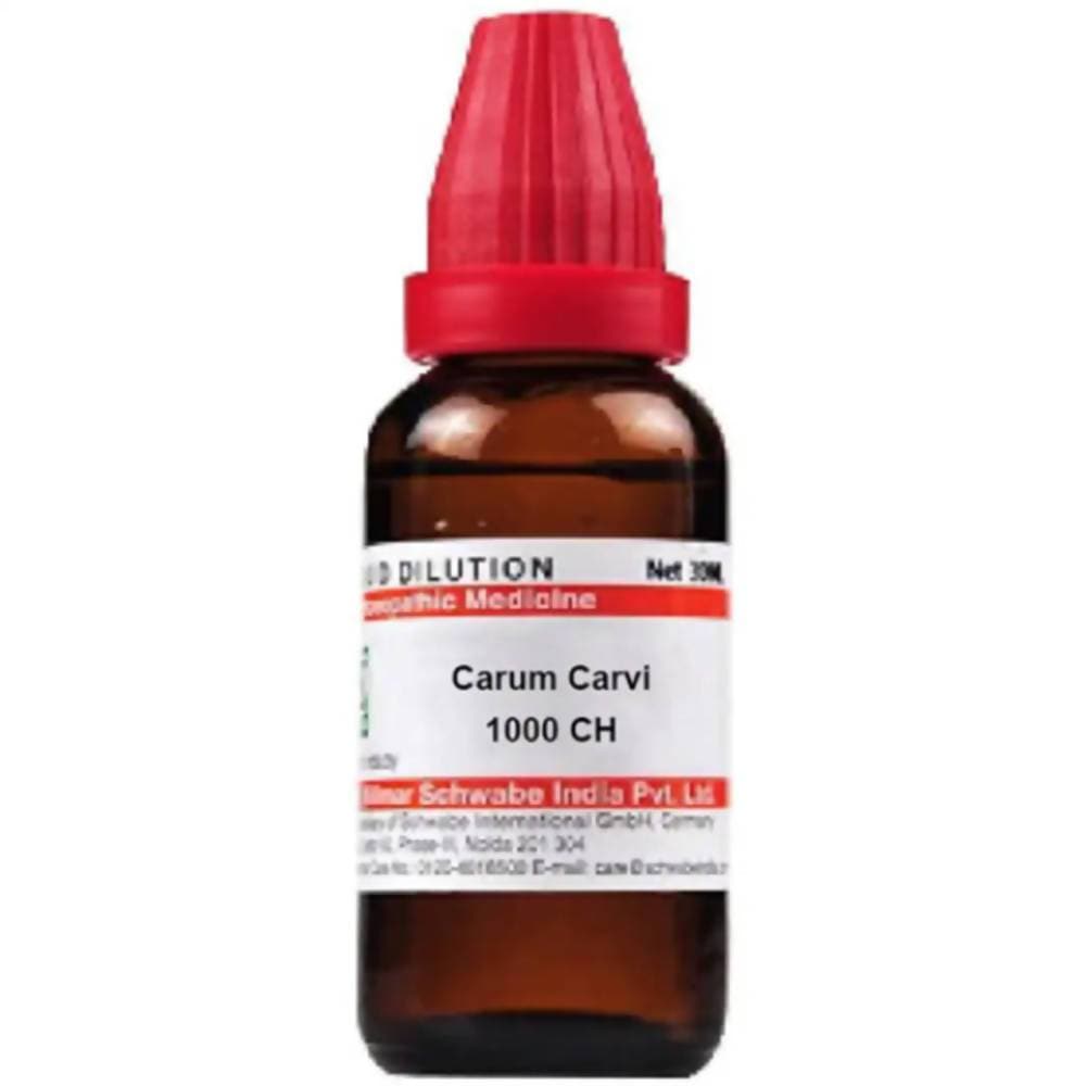 https://cdn.shopify.com/s/files/1/1857/6931/products/XLN605gSAx.jpg?v=1613912157