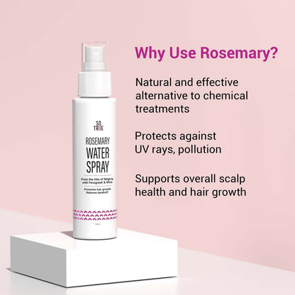 https://cdn.shopify.com/s/files/1/1857/6931/files/XLh8Fv8WXx.jpg?v=1727762685