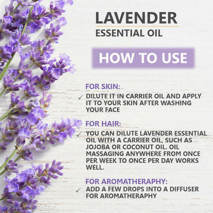 https://cdn.shopify.com/s/files/1/1857/6931/files/XNwW7umuZ4.jpg?v=1731578112