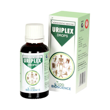 https://cdn.shopify.com/s/files/1/1857/6931/products/XOqiQGNLSy.jpg?v=1652879356