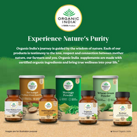 https://cdn.shopify.com/s/files/1/1857/6931/files/XPA4888UuU.png?v=1770637228