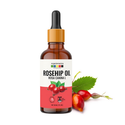 https://cdn.shopify.com/s/files/1/1857/6931/files/XThHQIKbI3.png?v=1723201968