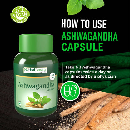 https://cdn.shopify.com/s/files/1/1857/6931/products/XZLam8Wqnp.jpg?v=1702465886