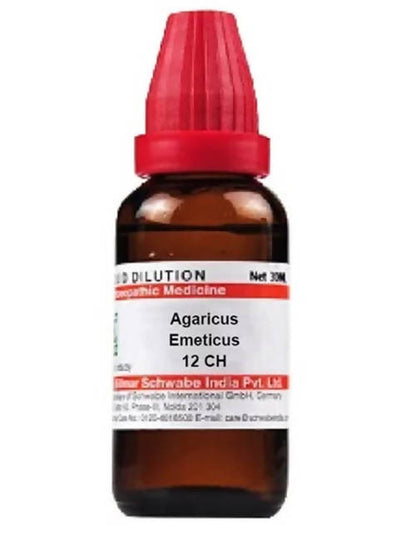 https://cdn.shopify.com/s/files/1/1857/6931/products/Xb1QMYGSvd.jpg?v=1641549615