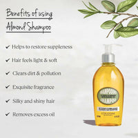 https://cdn.shopify.com/s/files/1/1857/6931/products/XbKsrhrXOG.jpg?v=1666689591