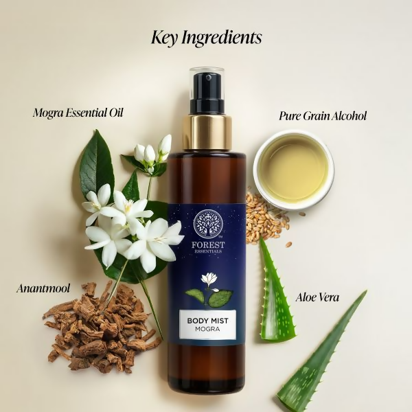 https://cdn.shopify.com/s/files/1/1857/6931/files/XbvBoXrOr6.png?v=1747113000
