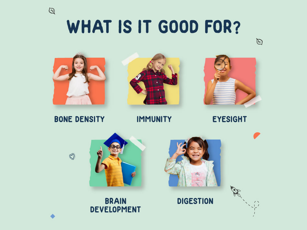 https://cdn.shopify.com/s/files/1/1857/6931/files/Xc77vhIndS.png?v=1769082775