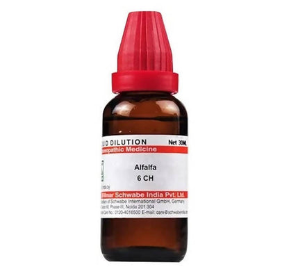 https://cdn.shopify.com/s/files/1/1857/6931/products/XfTfe82x2c.jpg?v=1641369447