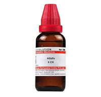 https://cdn.shopify.com/s/files/1/1857/6931/products/XfTfe82x2c.jpg?v=1641369447