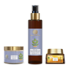 https://cdn.shopify.com/s/files/1/1857/6931/files/XgfVG0ONwU.png?v=1731403492