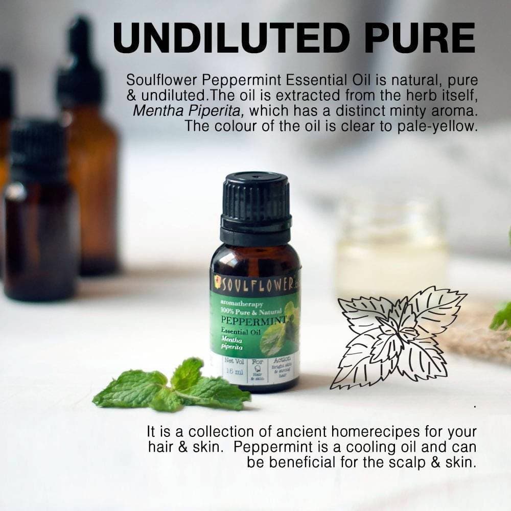https://cdn.shopify.com/s/files/1/1857/6931/products/Xh0Np64Uvm.jpg?v=1614911231