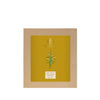 https://cdn.shopify.com/s/files/1/1857/6931/products/Xh7hcWVlNK.jpg?v=1614306429