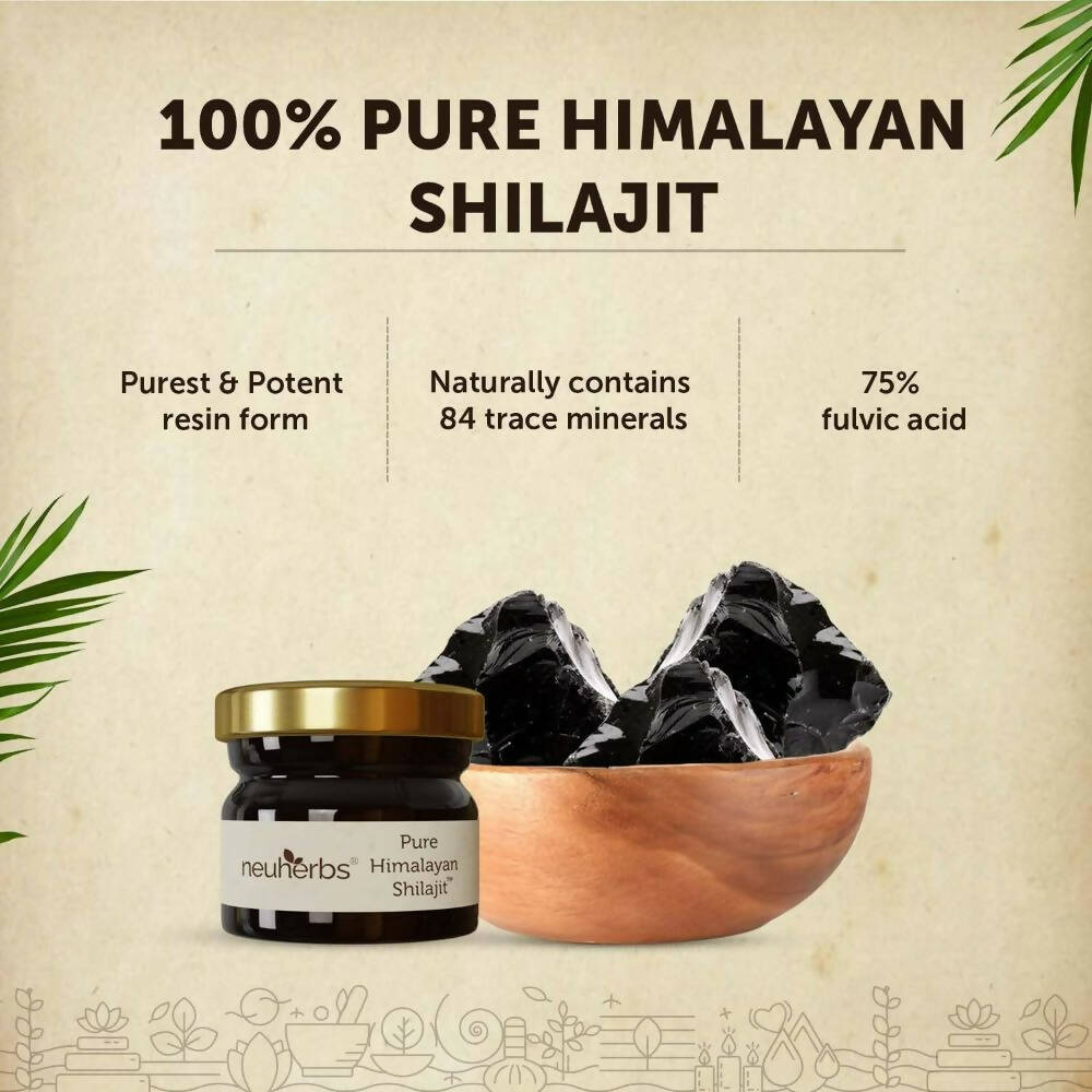 https://cdn.shopify.com/s/files/1/1857/6931/products/XhLEfO05az.jpg?v=1693827685
