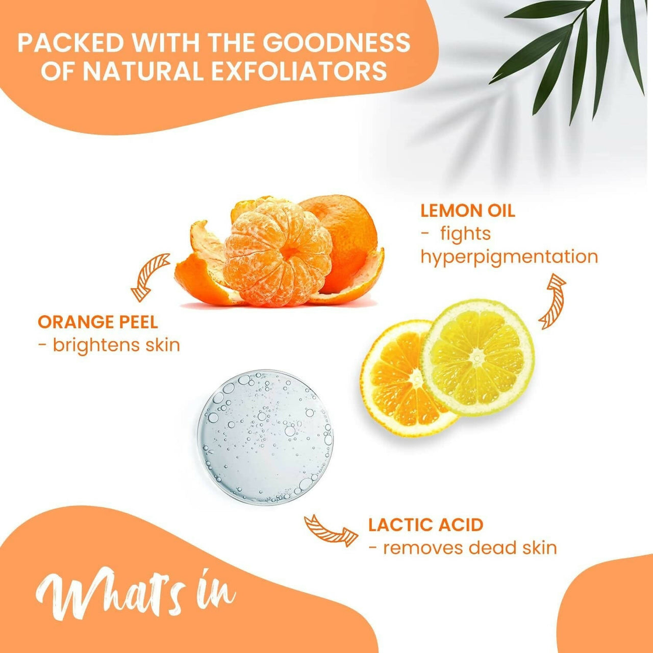 https://cdn.shopify.com/s/files/1/1857/6931/products/Xj3g5FMt9t.jpg?v=1680933507