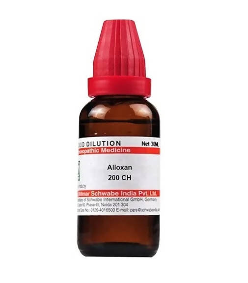 https://cdn.shopify.com/s/files/1/1857/6931/products/Xlc4BodgYR.jpg?v=1641541915