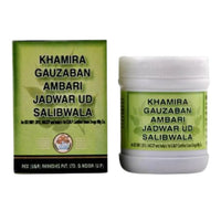 https://cdn.shopify.com/s/files/1/1857/6931/products/XmVtJbEN0L.jpg?v=1681966821