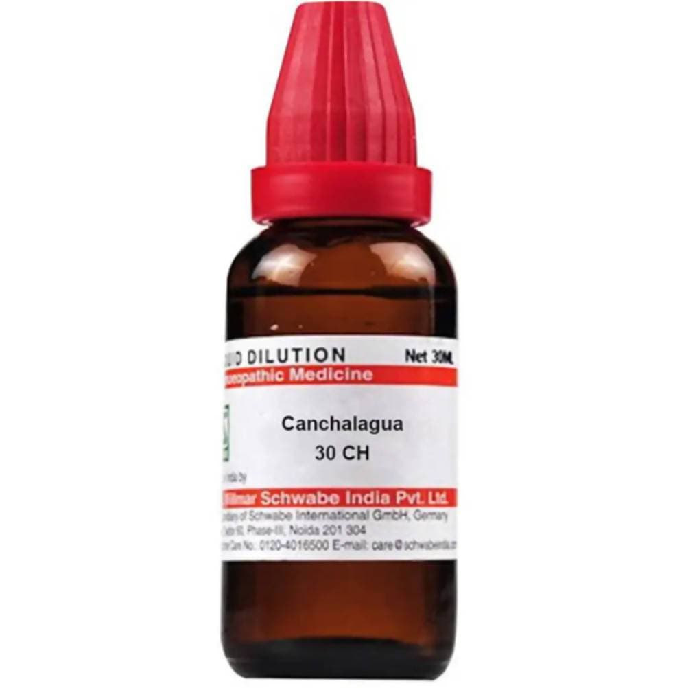 https://cdn.shopify.com/s/files/1/1857/6931/products/XpcyOpVLzl.jpg?v=1613912077