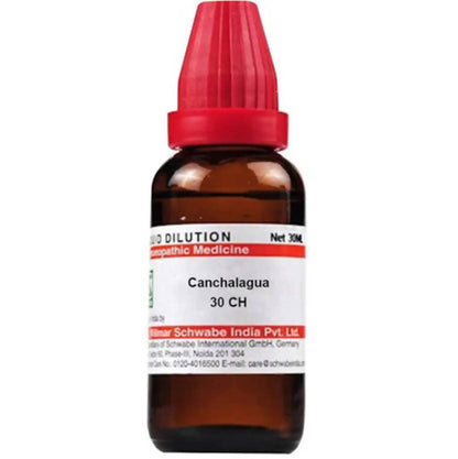https://cdn.shopify.com/s/files/1/1857/6931/products/XpcyOpVLzl.jpg?v=1613912077