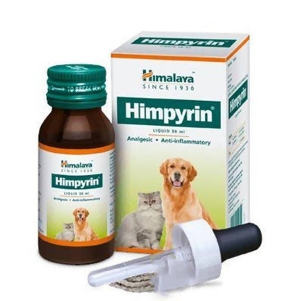 https://cdn.shopify.com/s/files/1/1857/6931/products/Xpz5PIGs4W.jpg?v=1627007677