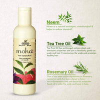 https://cdn.shopify.com/s/files/1/1857/6931/products/XsBzXYXN04.jpg?v=1631241216