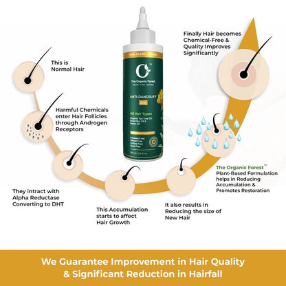 https://cdn.shopify.com/s/files/1/1857/6931/products/Xv8NZQHhur.jpg?v=1643018770
