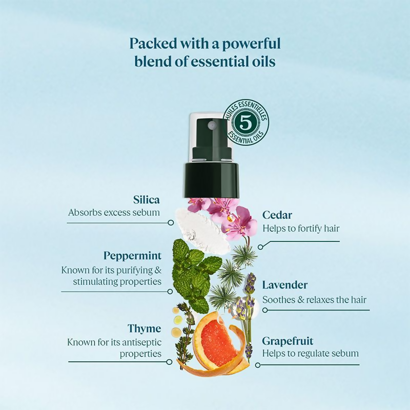 https://cdn.shopify.com/s/files/1/1857/6931/products/XvsbBaoO25.png?v=1698918680