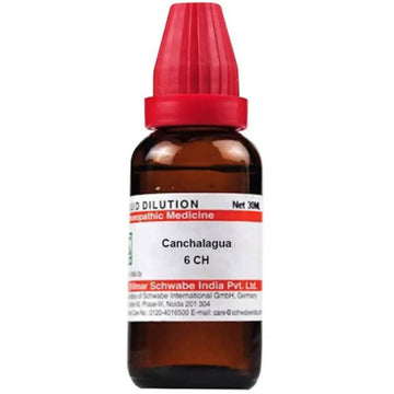 https://cdn.shopify.com/s/files/1/1857/6931/products/Y05NVbMqR3.jpg?v=1613912080