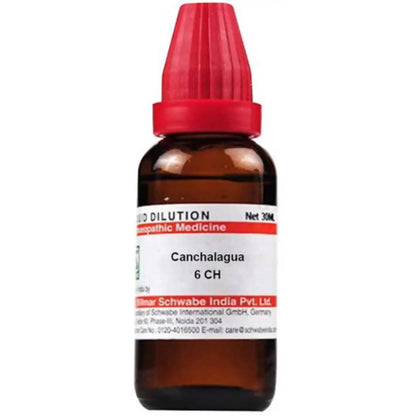 https://cdn.shopify.com/s/files/1/1857/6931/products/Y05NVbMqR3.jpg?v=1613912080