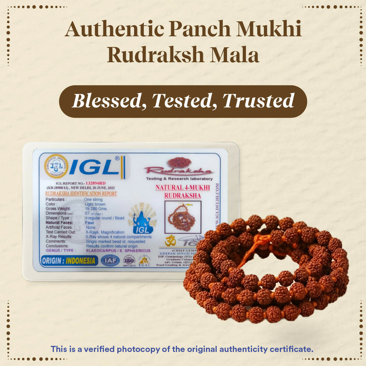 Image 5 of Pujashree Rudraksh Mala Small 8mm – Sacred Prayer Beads for Meditation, Chanting & Spiritual Wear