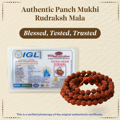 Image 5 of Pujashree Rudraksh Mala Small 8mm – Sacred Prayer Beads for Meditation, Chanting & Spiritual Wear