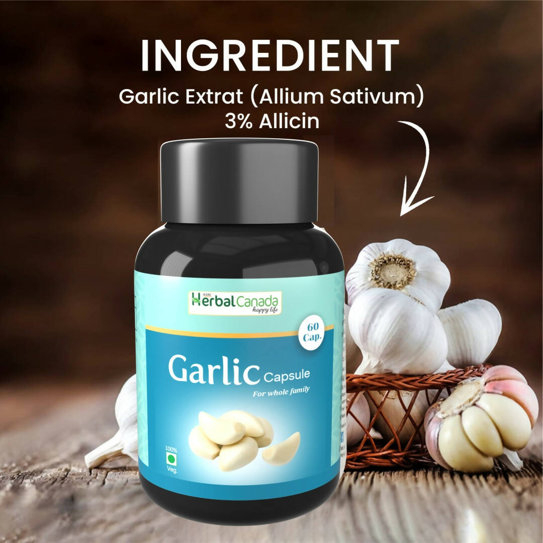 https://cdn.shopify.com/s/files/1/1857/6931/products/Y0sJIq1qVh.jpg?v=1702465901