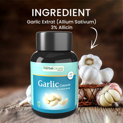 https://cdn.shopify.com/s/files/1/1857/6931/products/Y0sJIq1qVh.jpg?v=1702465901