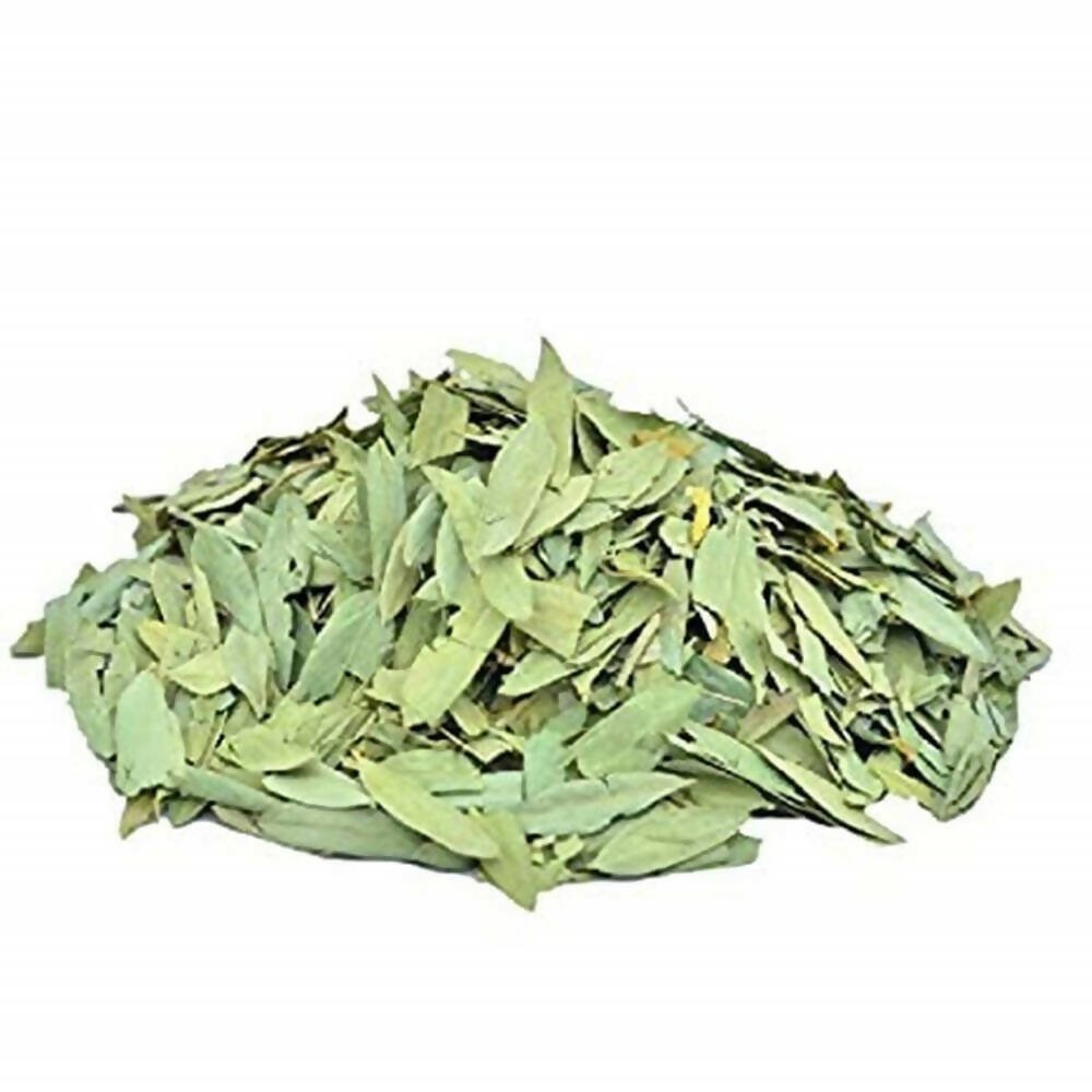 https://cdn.shopify.com/s/files/1/1857/6931/files/Y1KTgFLnne-590174.jpg?v=1736146131