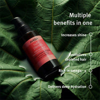 https://cdn.shopify.com/s/files/1/1857/6931/files/Y25sRK9DZc-820665.jpg?v=1736150301