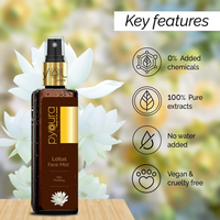 https://cdn.shopify.com/s/files/1/1857/6931/files/Y3AsjIpmwR.png?v=1731158011