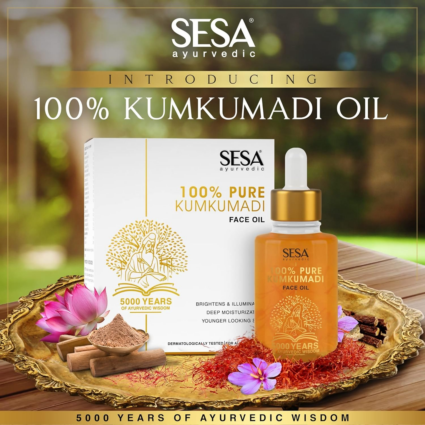 https://cdn.shopify.com/s/files/1/1857/6931/products/Y56UHQ65mL.png?v=1752707817