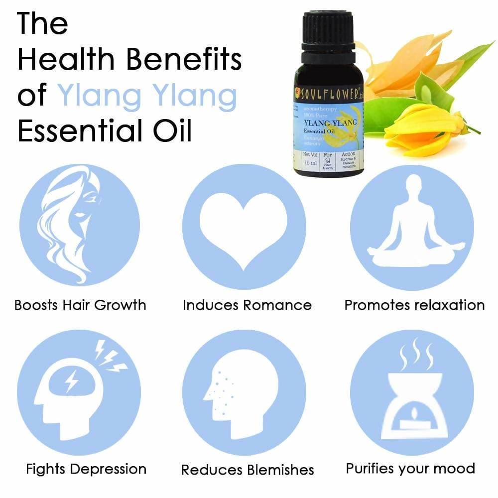 https://cdn.shopify.com/s/files/1/1857/6931/products/Y5YsZaZa1k.jpg?v=1614911241