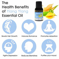 https://cdn.shopify.com/s/files/1/1857/6931/products/Y5YsZaZa1k.jpg?v=1614911241