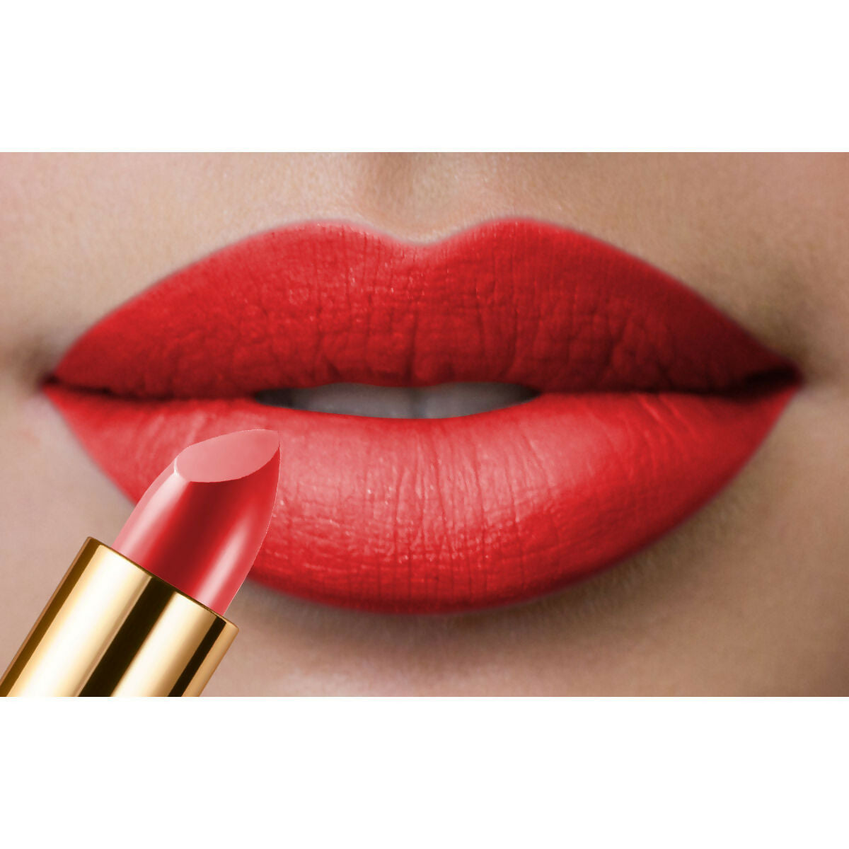 https://cdn.shopify.com/s/files/1/1857/6931/files/Y8RfHI6xrC.jpg?v=1745038706