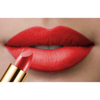 https://cdn.shopify.com/s/files/1/1857/6931/files/Y8RfHI6xrC.jpg?v=1745038706
