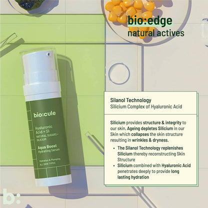 https://cdn.shopify.com/s/files/1/1857/6931/products/Y8zXcg9VhT.jpg?v=1686130973