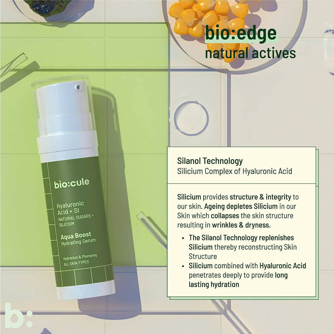 https://cdn.shopify.com/s/files/1/1857/6931/products/Y8zXcg9VhT.jpg?v=1686130973