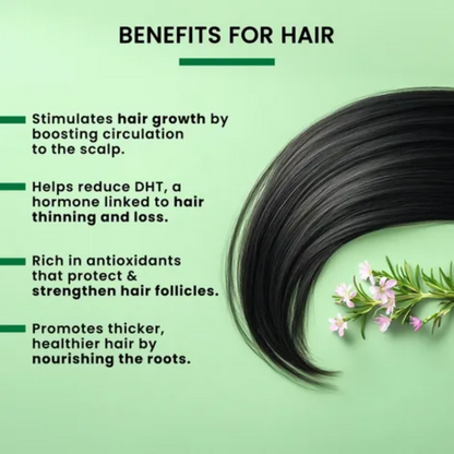 https://cdn.shopify.com/s/files/1/1857/6931/files/YAp55ZnwoC.png?v=1770112453